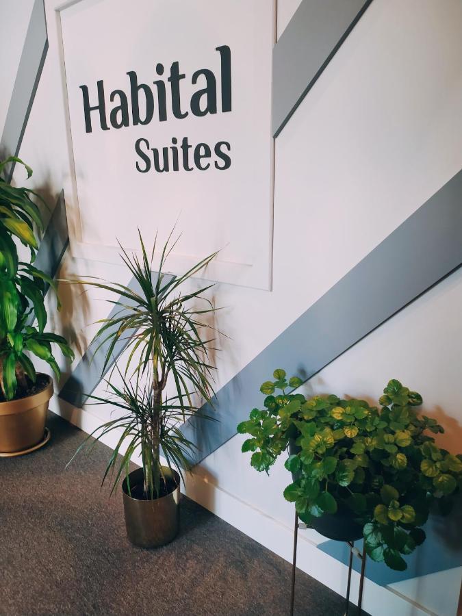 Habital Suites Jaca Extérieur photo